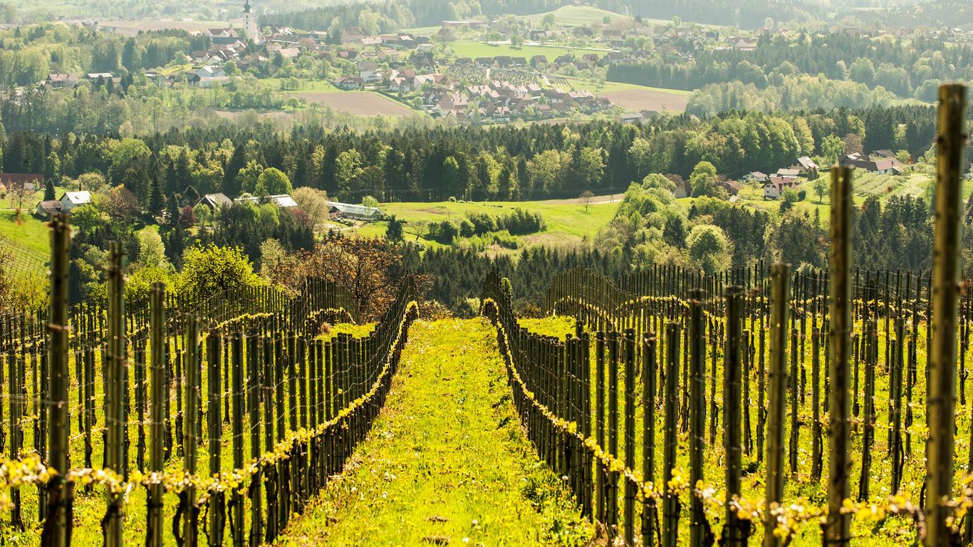 シュタイアーマルク州のホテル オーストリアのシュタイアーマルク州にある5 865軒の格安ホテルのお得な宿泊プラン シュタイアーマルク州のホテル オーストリアのシュタイアーマルク州にある5 865軒の格安ホテルのお得な宿泊プラン