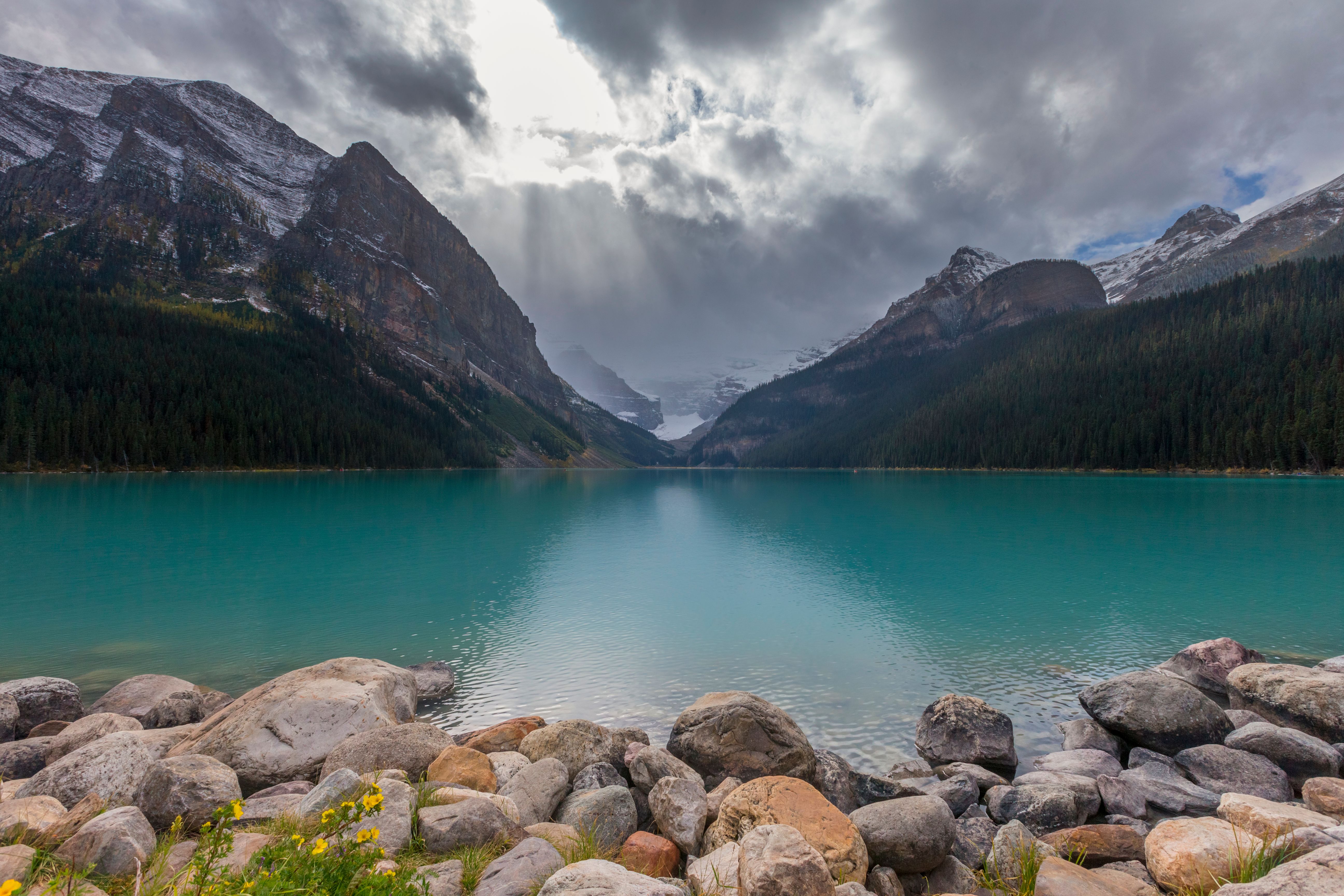 レイク ルイーズのホテル カナダのレイク ルイーズにある18軒の格安ホテルのお得な宿泊プラン