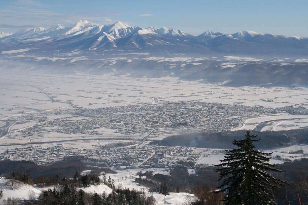 屋外の景色