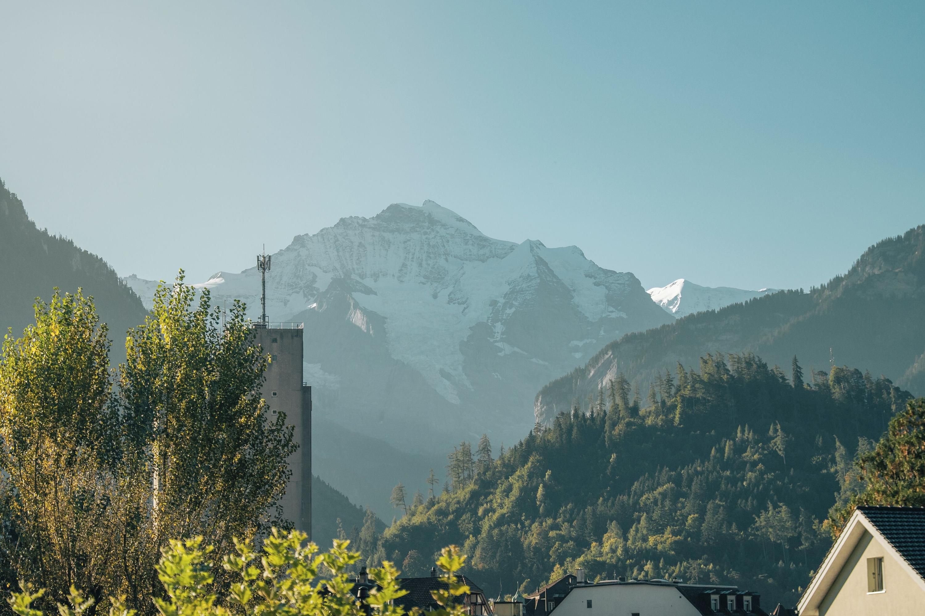 屋外の景色