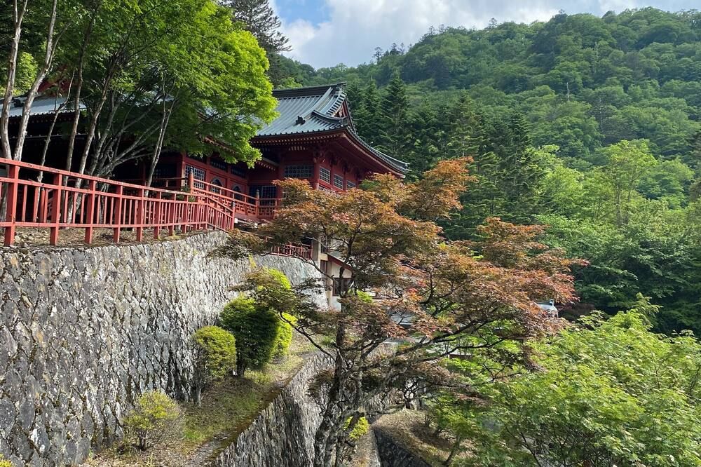 屋外の景色