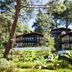 屋外の景色