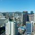 屋外の景色