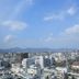屋外の景色