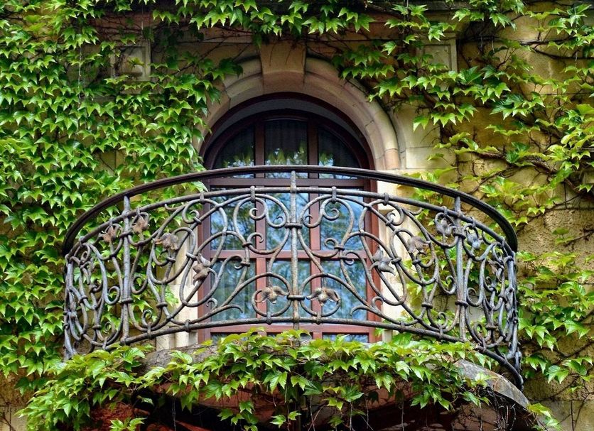 屋外の景色 写真