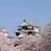 屋外の景色