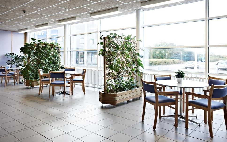 レストラン 写真