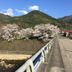 屋外の景色