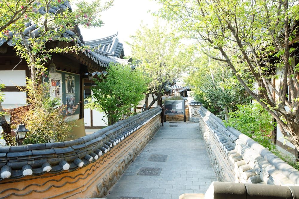 屋外の景色
