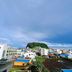屋外の景色