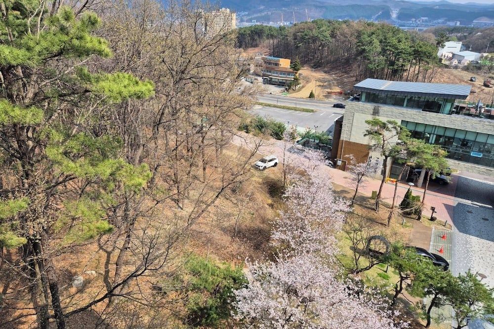 屋外の景色