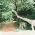 屋外の景色