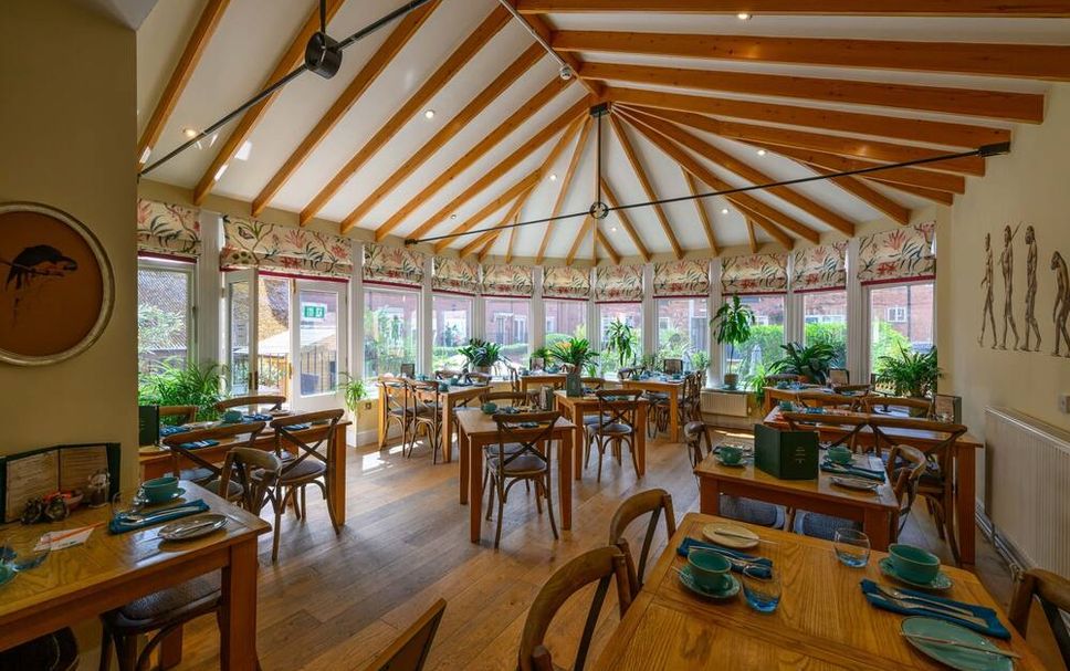 レストラン 写真