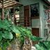 屋外の景色