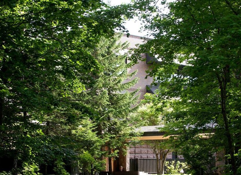 屋外の景色 写真