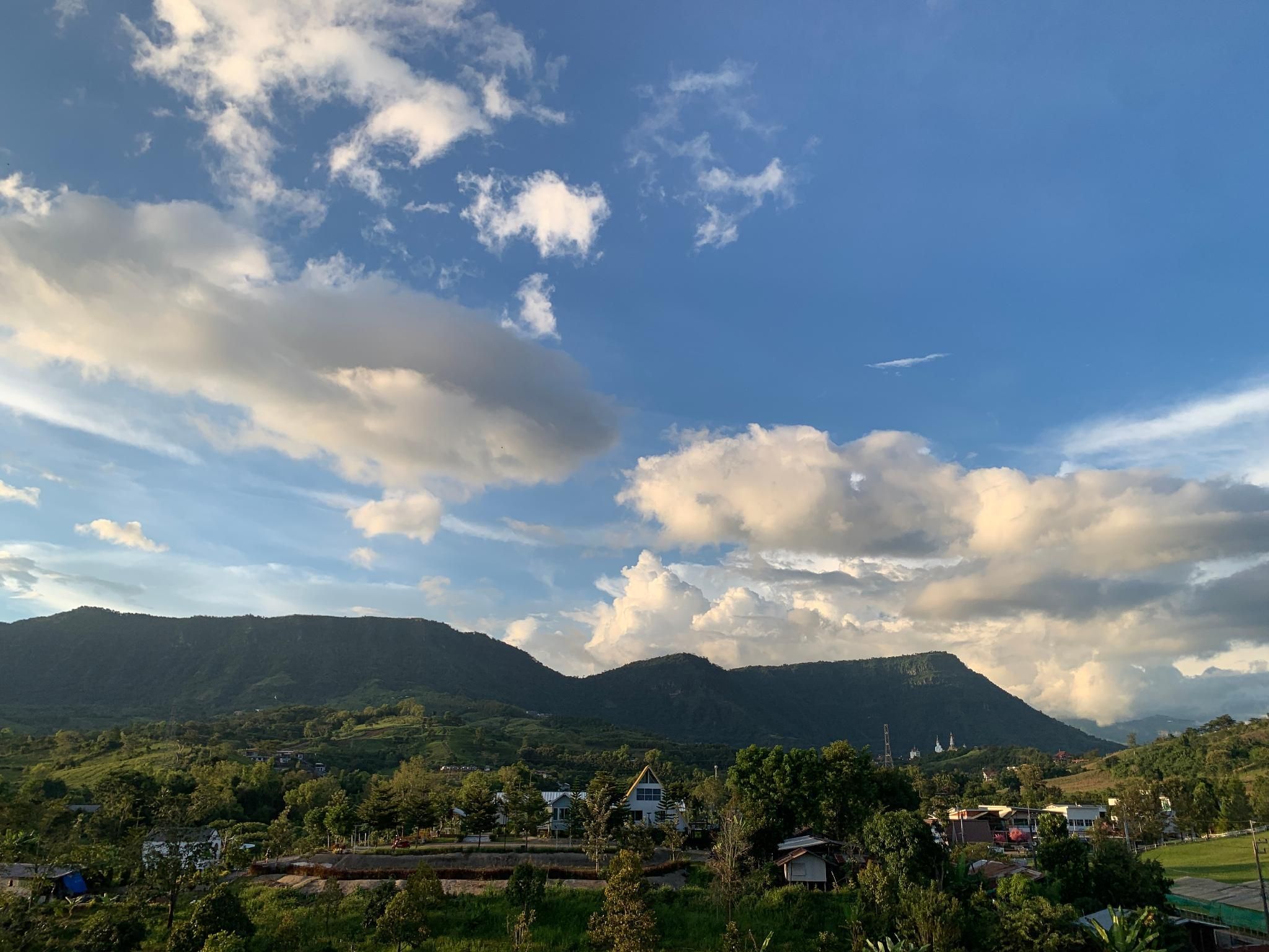 屋外の景色
