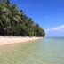 ビーチ