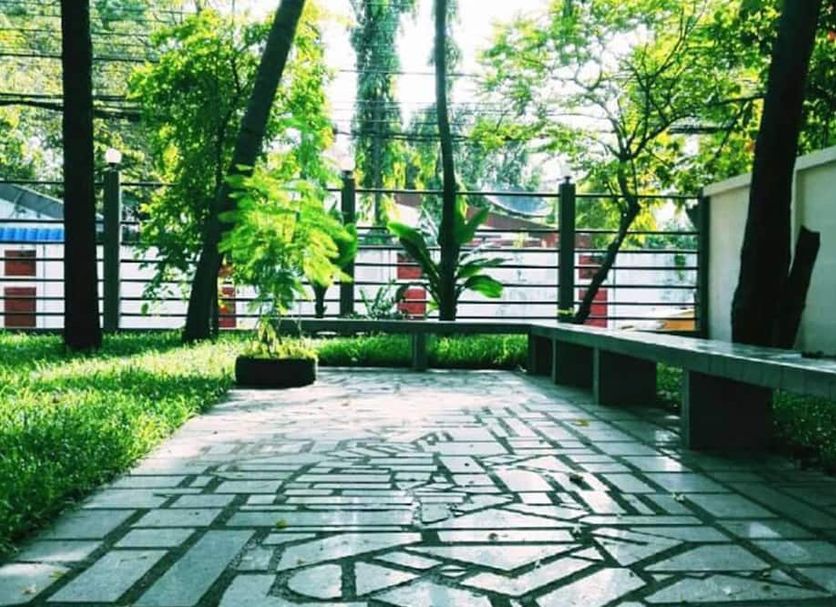 屋外の景色 写真