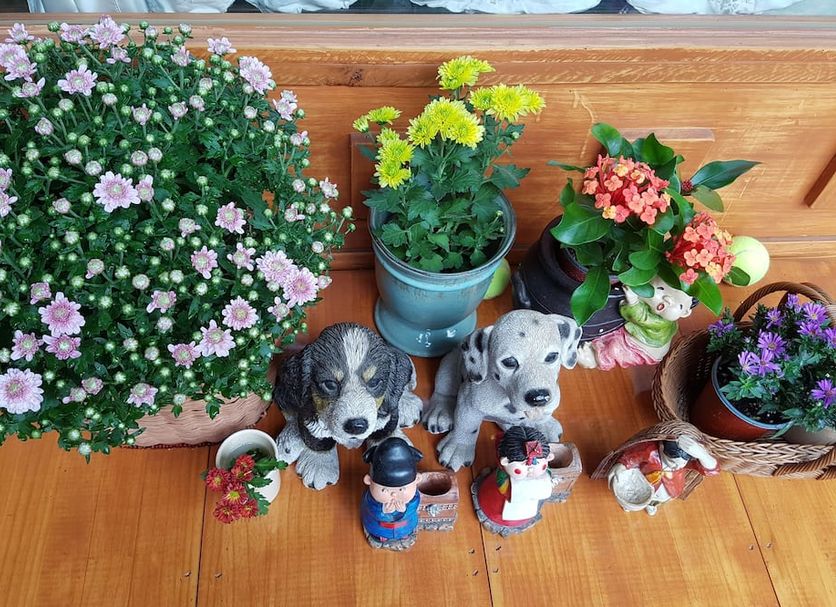 その他 写真