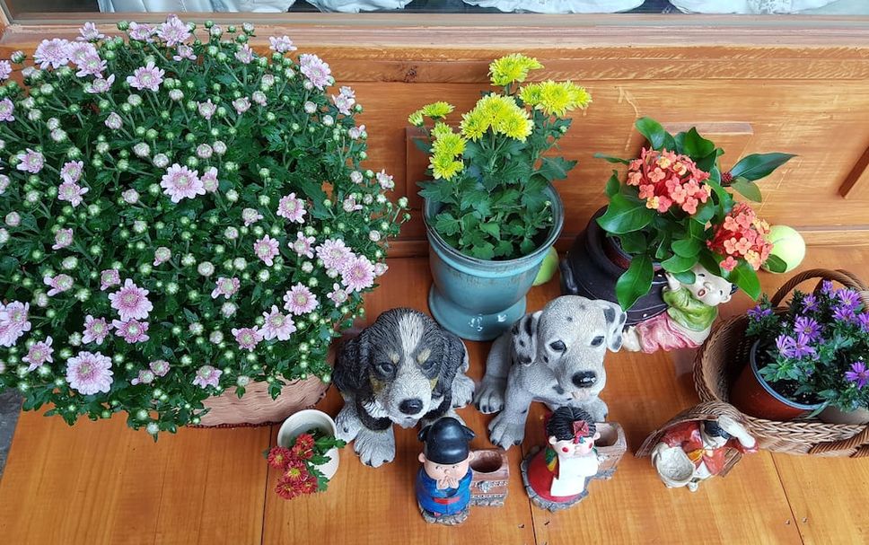 その他 写真