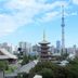 屋外の景色