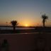 屋外の景色