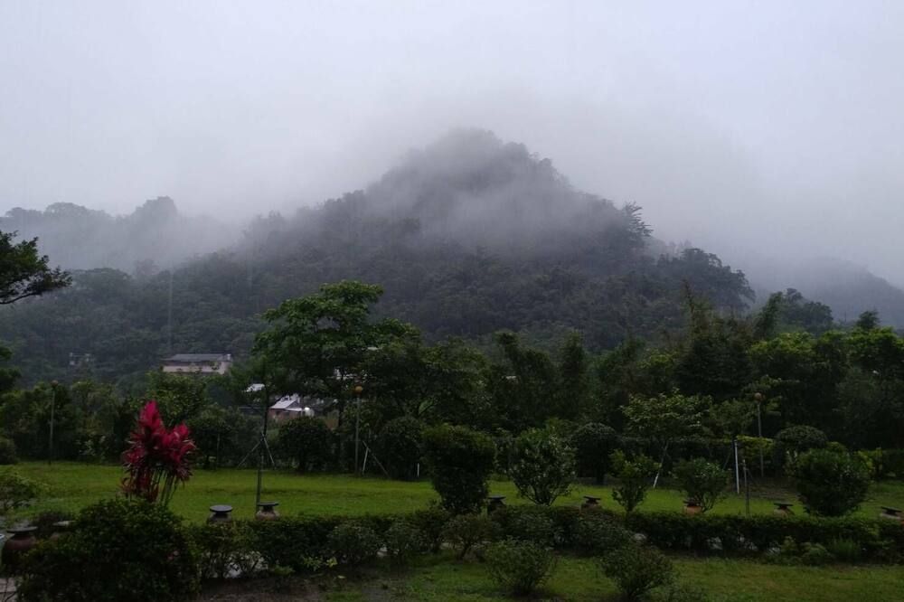 屋外の景色