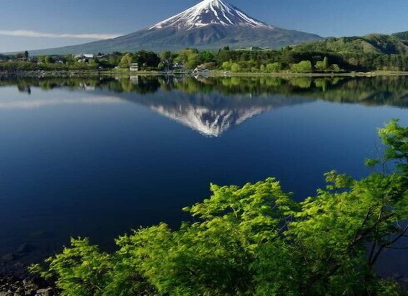 屋外の景色 写真