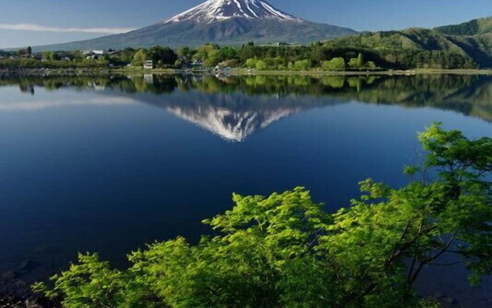 屋外の景色 写真