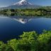 屋外の景色