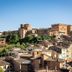 屋外の景色