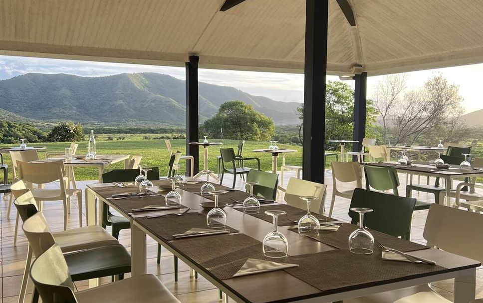 レストラン 写真