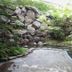 屋外の景色