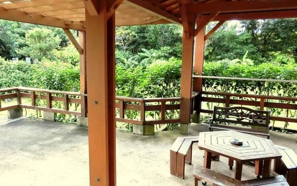 テラス 写真