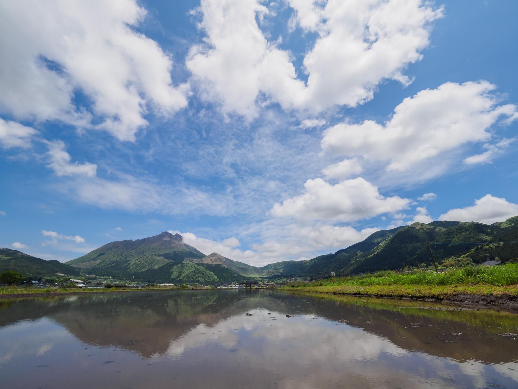 屋外の景色