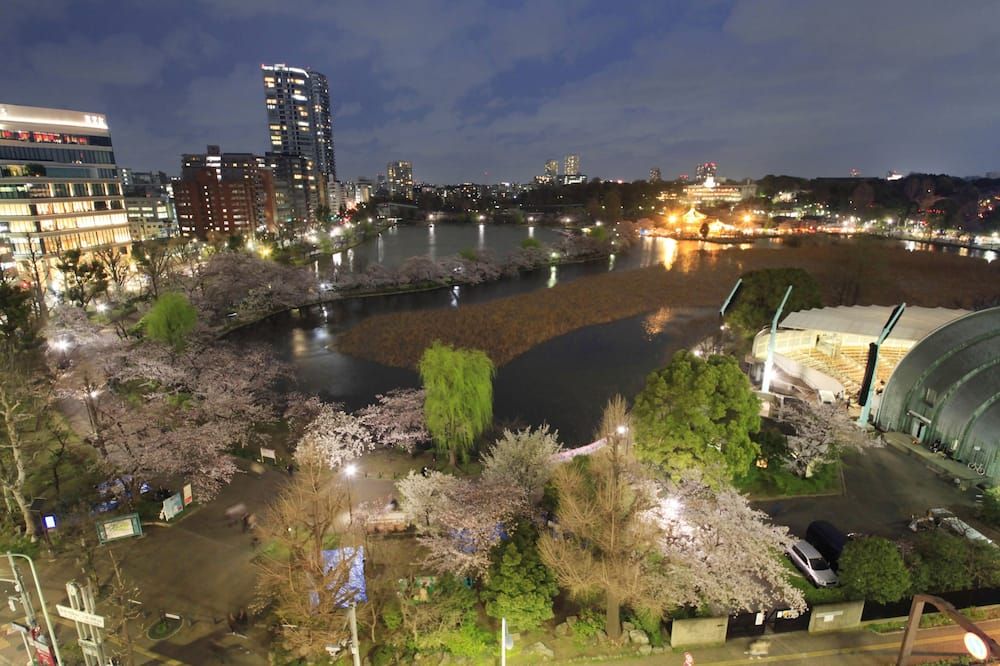 屋外の景色