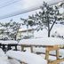 屋外の景色