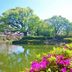 屋外の景色