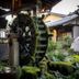 屋外の景色