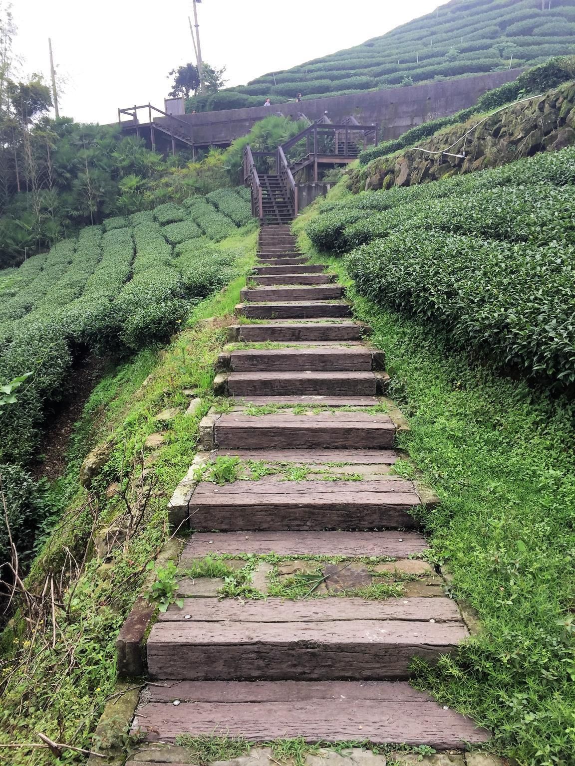 屋外の景色