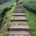 屋外の景色