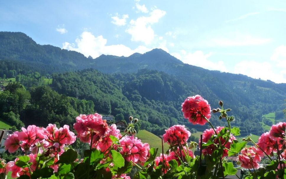 屋外の景色 写真