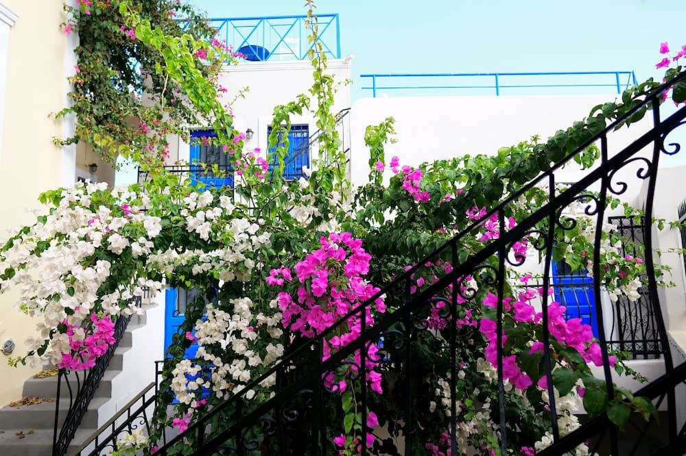 屋外の景色