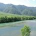 屋外の景色
