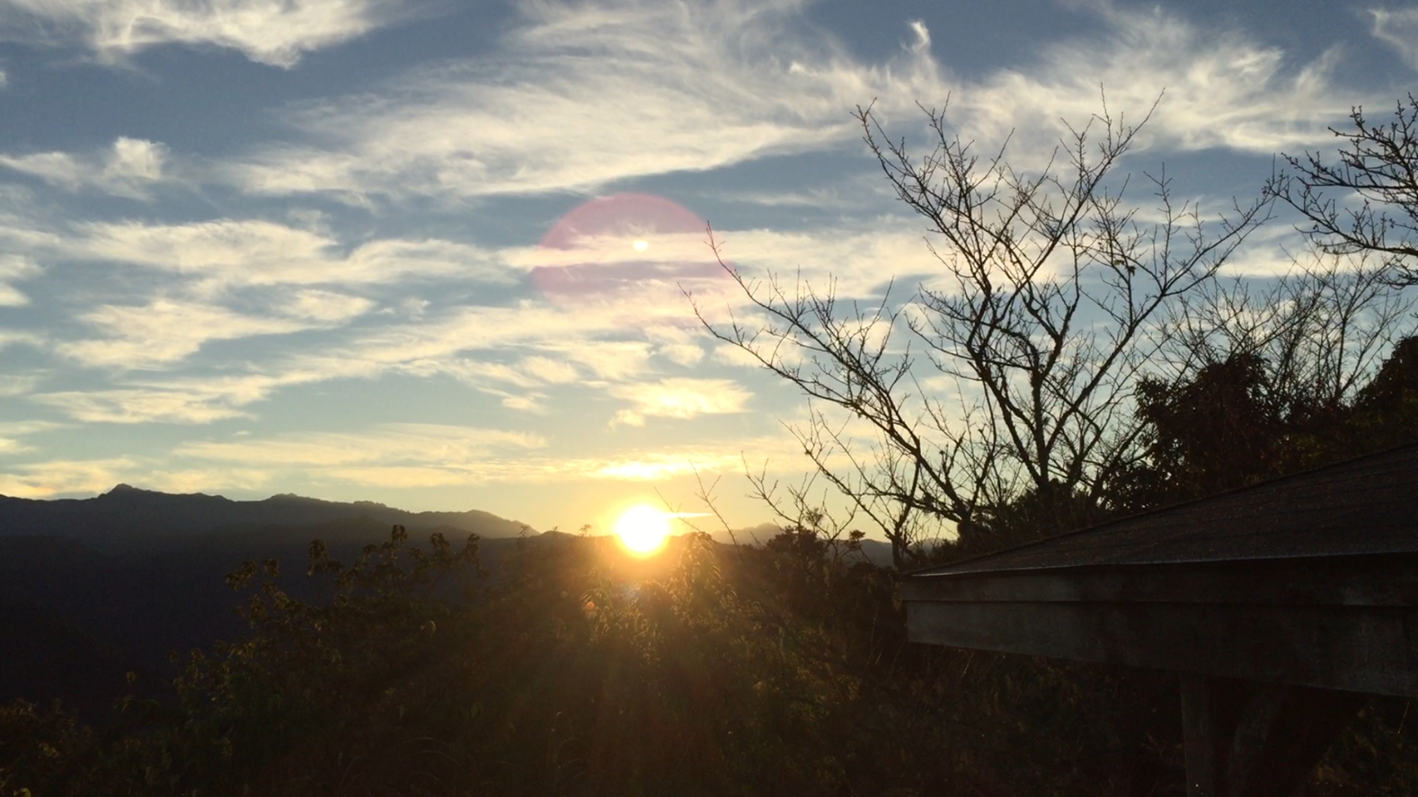 屋外の景色