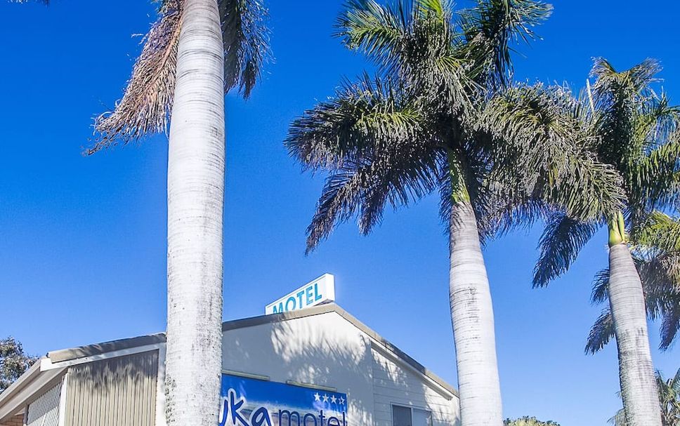屋外の景色 写真