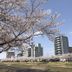 屋外の景色