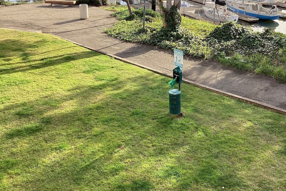 屋外の景色