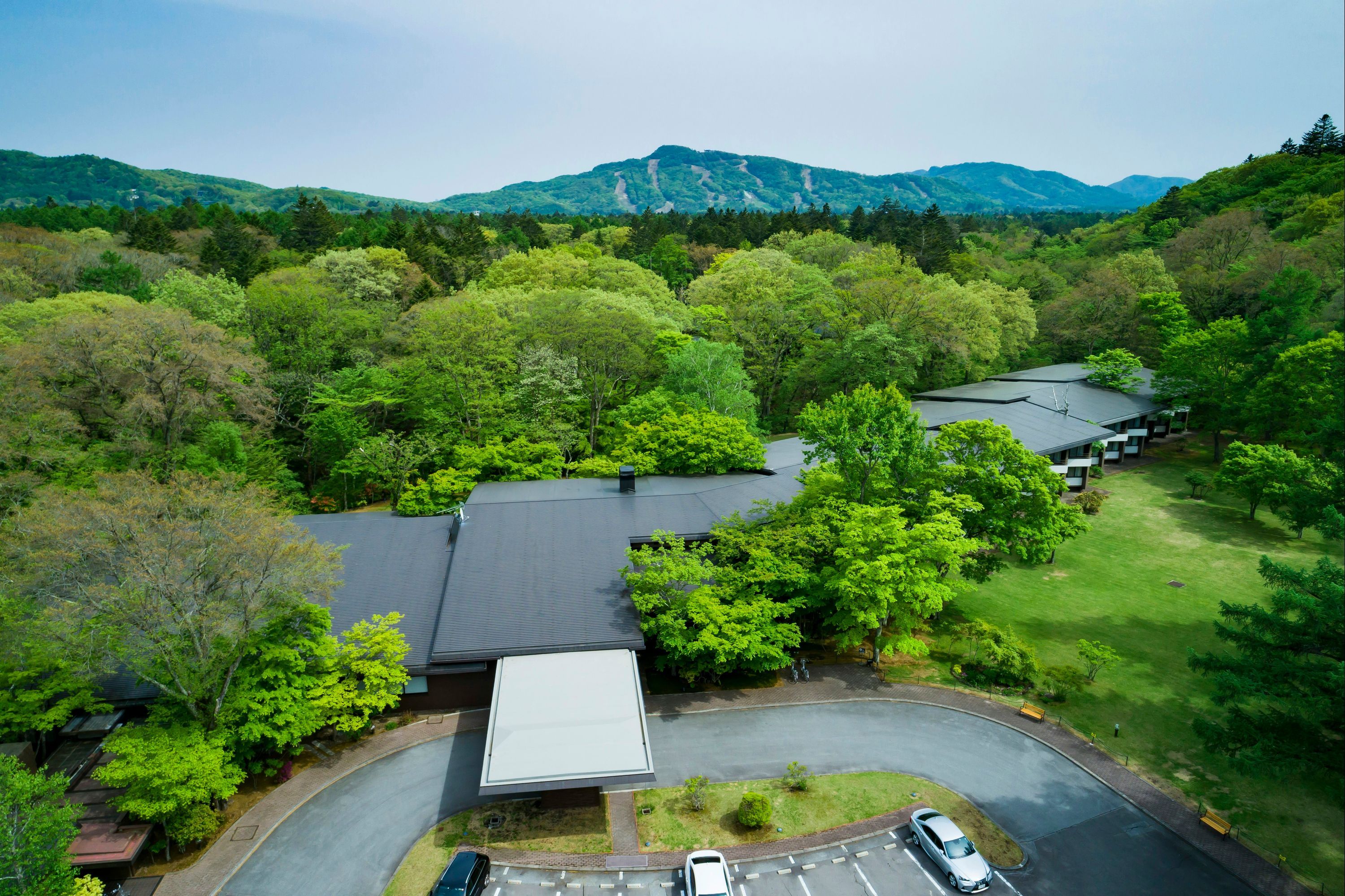屋外の景色