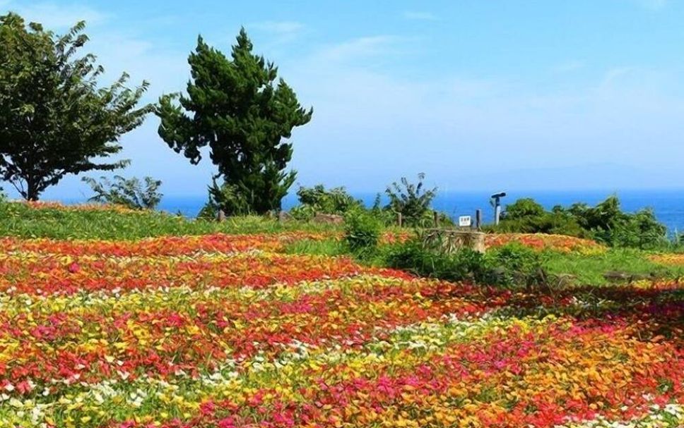 屋外の景色 写真